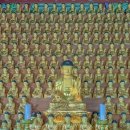 완도 신흥사 목조약사여래좌상 이미지