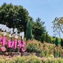 부천로354번길 이미지