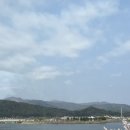 꽃잎다방 이미지
