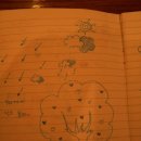 카페203 Daum카페