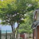 여울숲펜션 이미지