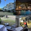 [제주도 가성비 가족 숙소 추천] 5성급 수영장 테라스룸, 제주 스위트 호텔🏡❤️