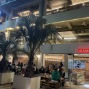 SUNSET 101 이미지