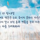 오은숙
