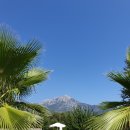 가인의원 이미지