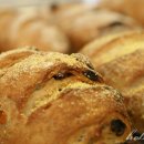 호밀호두 이미지