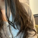 향헤어 | [모리쉬 아르간 헤어오일 후기｜향 좋은 헤어에센스 추천, 끈적임 없음]