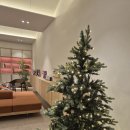 퀸즈피부과의원 | 성동구피부과 레비나스 후기 얼굴 라인 탄력 개선까지 만족스럽게