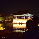 (주)여행담다