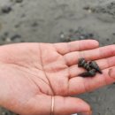 청남대 별장 펜션 이미지