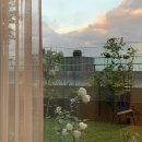 테라스하우스 이미지