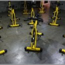 바디퍼포먼스 짐 이미지