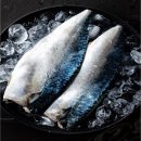 제주어부 | 쿠팡체험단 솔직후기! 제주어부 🐟자반고등어, 살이 꽉 찬 밥도둑 발견