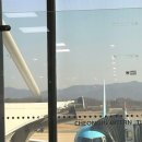 명월성돌담집