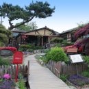 메주꽃이랑 이미지