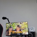 야식 추천 전주 황가네 평화본점 숯불닭발 택배 후기
