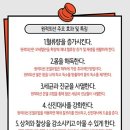 더 따숲 이미지