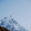 대로2-39 이미지