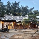 화니라이프케어 경주점 | 경주 황리단길 가볼만한곳 한옥 카페 솔 추천 겨울국내여행지