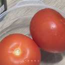 블로그 도용 레전드 신고하는 일상