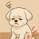 하나로365약국 이미지