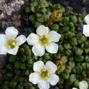 당구클럽 향기 이미지