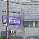 하이원펫클럽 이미지