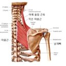더바른몸PT 이미지