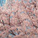 쌍암경로당 이미지