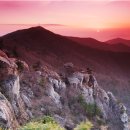 일출상사 이미지