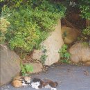 달맞이길 35 네이버블로그
