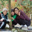 사과나무집 이미지