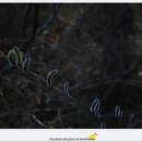 성북구민회관 이미지