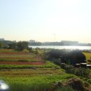 길농장2 이미지