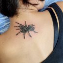 수원-1073 | 수원타투 풍문으로 들었소~