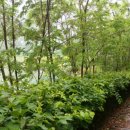 웅남주민운동장 이미지