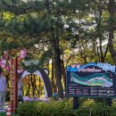 자연드림 부산화명점 | 부산 북구 아이랑 갈만한 곳ㅣ화명수목원 대천천누리길 다녀온 솔직 후기
