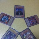 성창농장 | 지져스오브트레후기