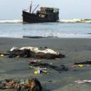 이로운바다 이미지