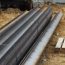 백수 농장 이미지