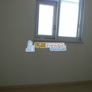 엘리치안 이미지