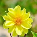 다대1동-8 이미지