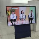 가이드본치과의원 | 치아 관리 앱 추천! 치아노트로 찾은 강남 임플라인치과 치아미백 후기