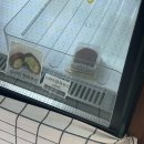 사암로215번길 이미지