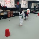 용인대정현태권도장 이미지