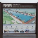 장림항(맛술촌) 이미지
