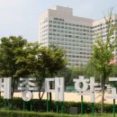 세종대학교 공공정책대학원 이미지