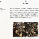 이레6 발전소 | [전시 후기] 피크닉 piknic <정원 만들기 GARDEN ING> - 아트플랫폼 문고리 미술학원