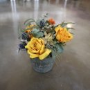 드라이데이 이미지