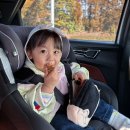 컬러인제주 휴양펜션 | 제주 해녀 아기 스냅 니우스튜디오 후기 내돈내산